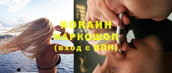 шишки Балабаново