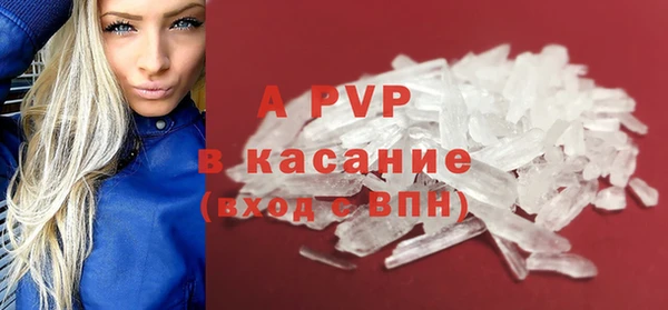 твердый Пересвет