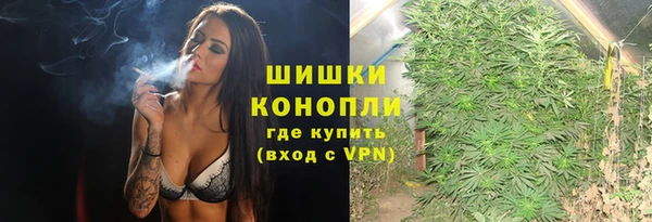 шишки Балабаново