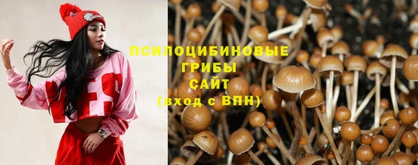 шишки Балабаново